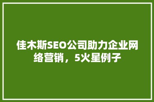 佳木斯SEO公司助力企业网络营销，5火星例子