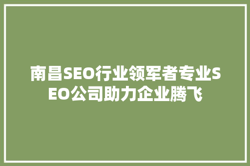 南昌SEO行业领军者专业SEO公司助力企业腾飞