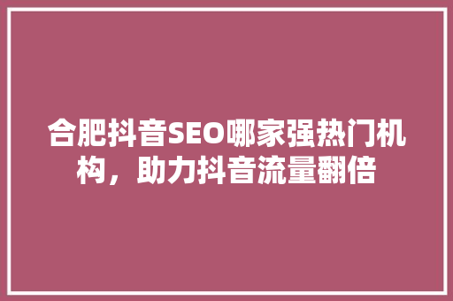 合肥抖音SEO哪家强热门机构，助力抖音流量翻倍