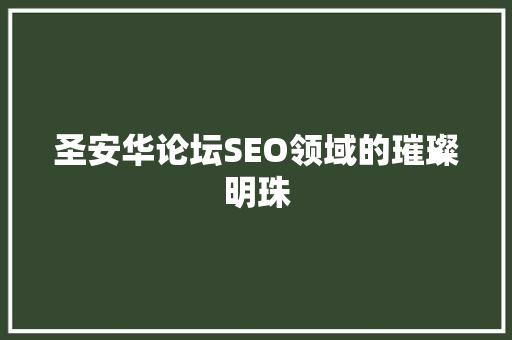 圣安华论坛SEO领域的璀璨明珠 网站建设公司