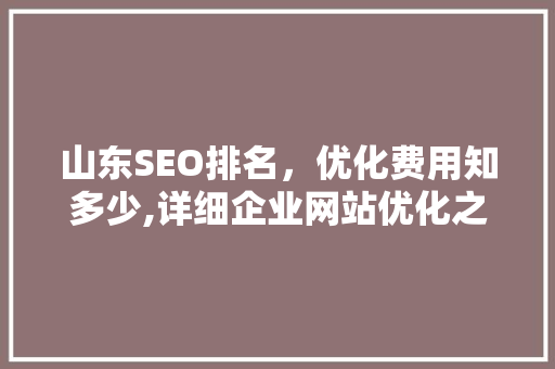 山东SEO排名，优化费用知多少,详细企业网站优化之路