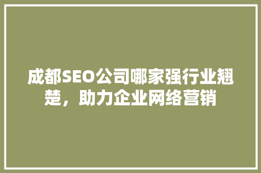 成都SEO公司哪家强行业翘楚，助力企业网络营销