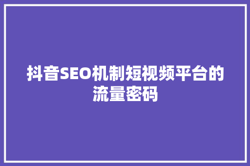 抖音SEO机制短视频平台的流量密码