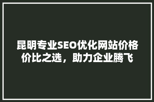 昆明专业SEO优化网站价格价比之选，助力企业腾飞 百度SEO