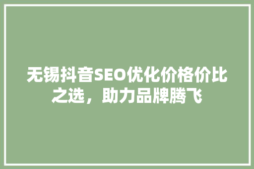 无锡抖音SEO优化价格价比之选，助力品牌腾飞