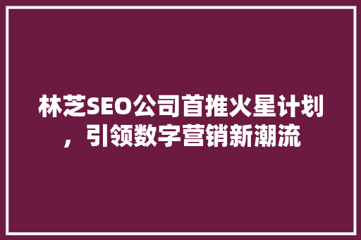林芝SEO公司首推火星计划，引领数字营销新潮流 SEO关键词