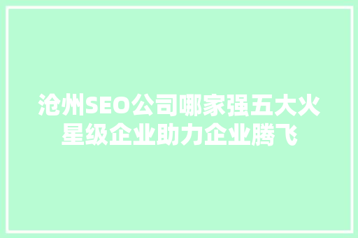 沧州SEO公司哪家强五大火星级企业助力企业腾飞