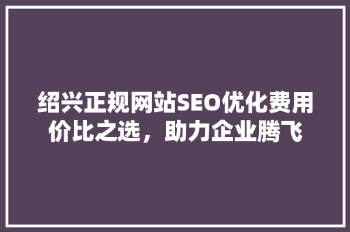 绍兴正规网站SEO优化费用价比之选，助力企业腾飞 必应SEO