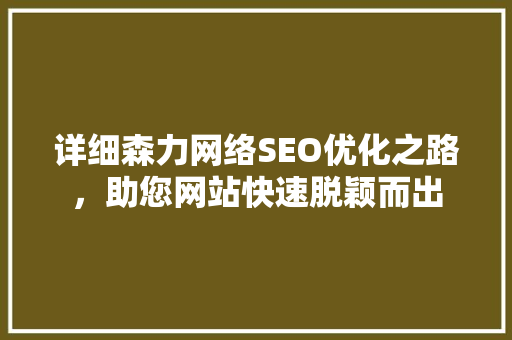 详细森力网络SEO优化之路，助您网站快速脱颖而出 SEO关键词