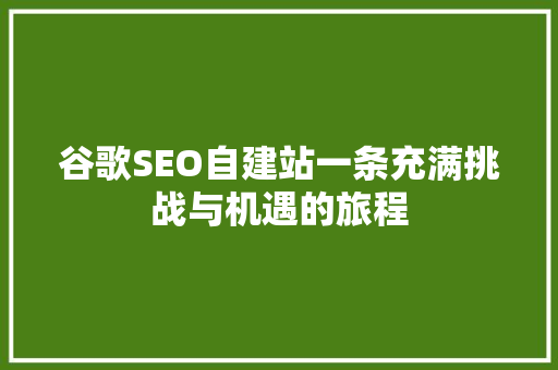 谷歌SEO自建站一条充满挑战与机遇的旅程 百度SEO
