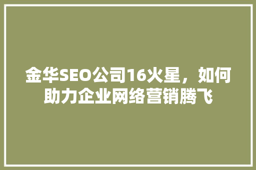 金华SEO公司16火星，如何助力企业网络营销腾飞