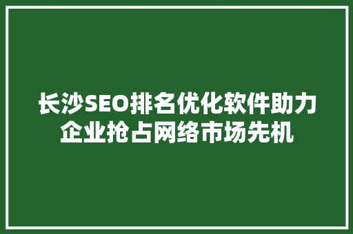 长沙SEO排名优化软件助力企业抢占网络市场先机 SEO关键词