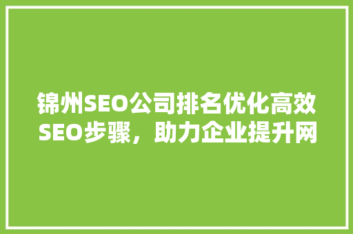 锦州SEO公司排名优化高效SEO步骤，助力企业提升网络竞争力