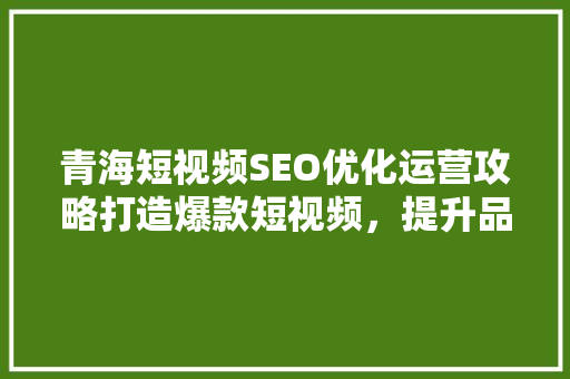 青海短视频SEO优化运营攻略打造爆款短视频，提升品牌影响力 神马SEO