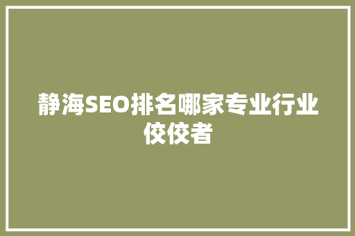 静海SEO排名哪家专业行业佼佼者