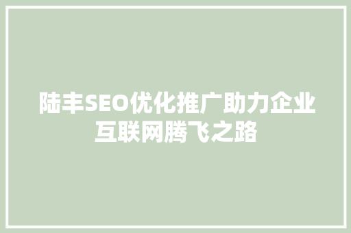 陆丰SEO优化推广助力企业互联网腾飞之路