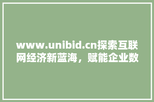 www.unibid.cn探索互联网经济新蓝海，赋能企业数字化转型之路 百度SEO