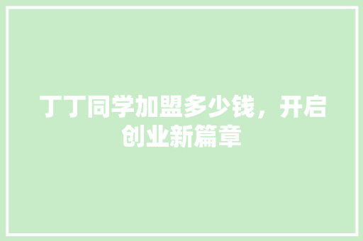 丁丁同学加盟多少钱，开启创业新篇章 SEO关键词