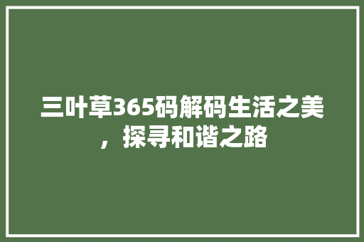 三叶草365码解码生活之美，探寻和谐之路 SEO关键词
