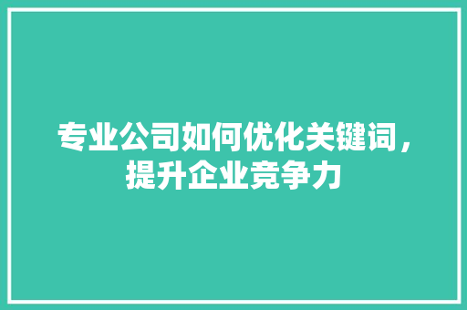 专业公司如何优化关键词，提升企业竞争力 SEO关键词