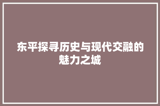 东平探寻历史与现代交融的魅力之城 网站建设公司