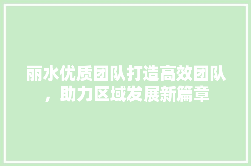 丽水优质团队打造高效团队，助力区域发展新篇章 必应SEO