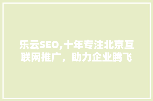 乐云SEO,十年专注北京互联网推广，助力企业腾飞 网站建设公司