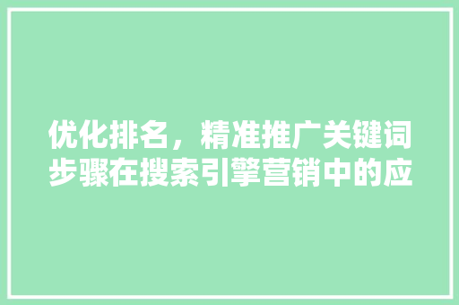 优化排名，精准推广关键词步骤在搜索引擎营销中的应用 百度SEO