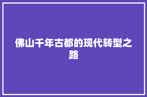 佛山千年古都的现代转型之路 百度SEO