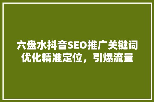 六盘水抖音SEO推广关键词优化精准定位，引爆流量 百度SEO