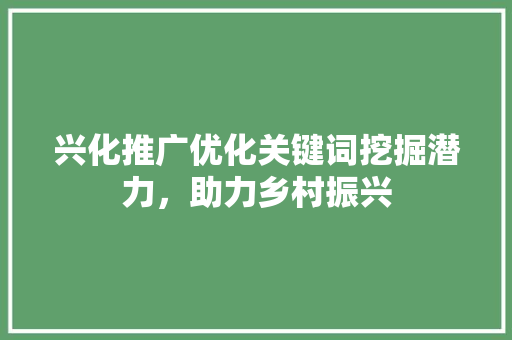兴化推广优化关键词挖掘潜力，助力乡村振兴 神马SEO