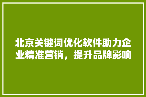 北京关键词优化软件助力企业精准营销，提升品牌影响力 网站建设公司