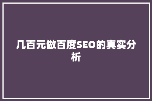 几百元做百度SEO的真实分析 必应SEO