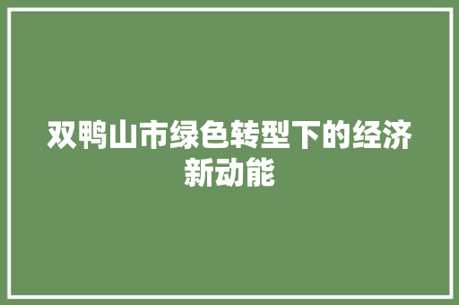 双鸭山市绿色转型下的经济新动能 百度SEO