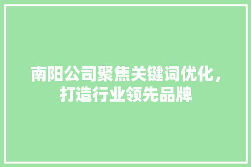 南阳公司聚焦关键词优化，打造行业领先品牌 百度SEO