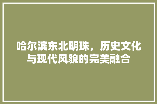 哈尔滨东北明珠，历史文化与现代风貌的完美融合 神马SEO