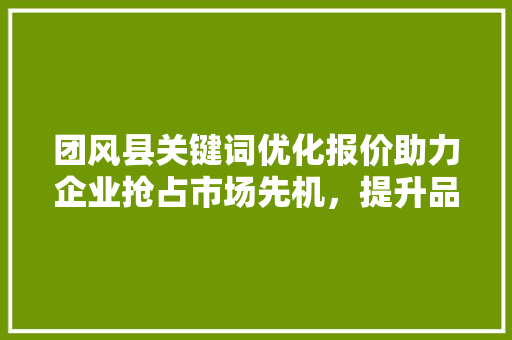 团风县关键词优化报价助力企业抢占市场先机，提升品牌影响力