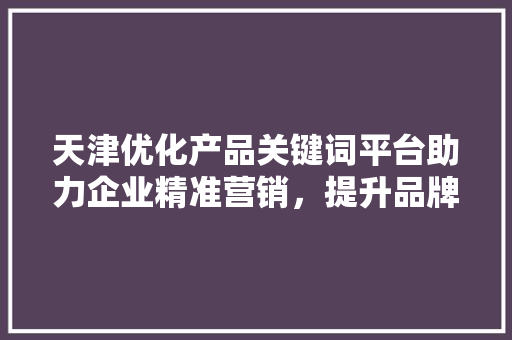 天津优化产品关键词平台助力企业精准营销，提升品牌影响力