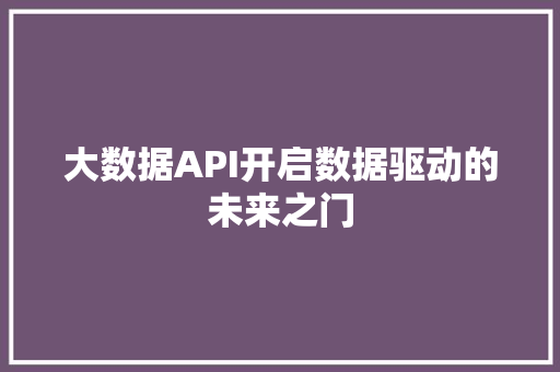 大数据API开启数据驱动的未来之门 神马SEO