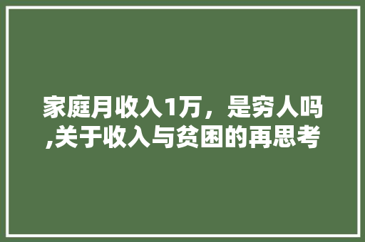 家庭月收入1万，是穷人吗,关于收入与贫困的再思考 搜狗SEO