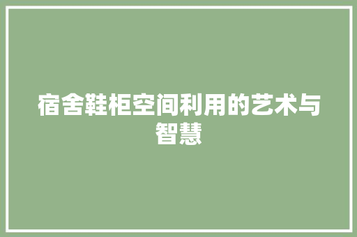 宿舍鞋柜空间利用的艺术与智慧 神马SEO