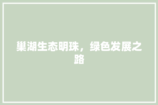 巢湖生态明珠，绿色发展之路 百度SEO