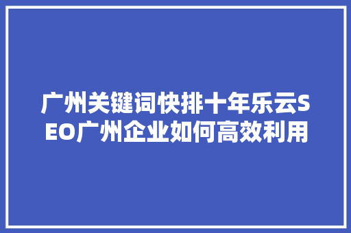 广州关键词快排十年乐云SEO广州企业如何高效利用搜索引擎优化