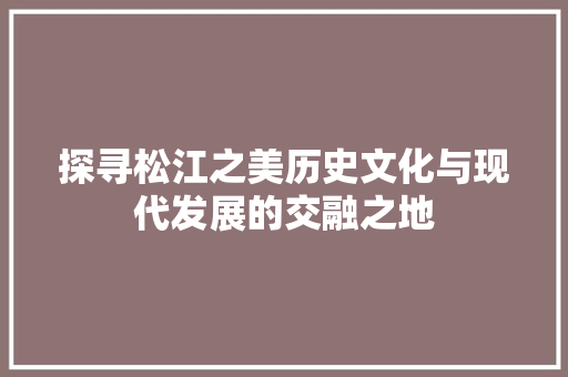 探寻松江之美历史文化与现代发展的交融之地