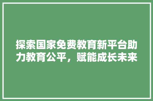探索国家免费教育新平台助力教育公平，赋能成长未来 必应SEO