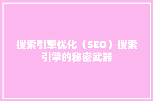 搜索引擎优化（SEO）搜索引擎的秘密武器 网站建设公司
