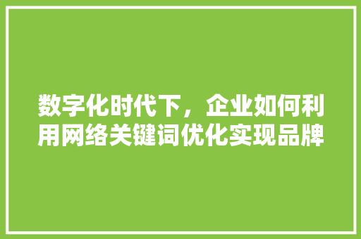 数字化时代下，企业如何利用网络关键词优化实现品牌升级 SEO关键词