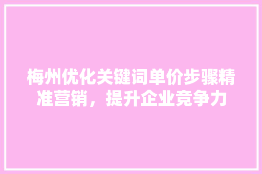 梅州优化关键词单价步骤精准营销,提升企业竞争力 SEO关键词 梅州优化关键词单价步骤精准营销,提升企业竞争力 SEO关键词