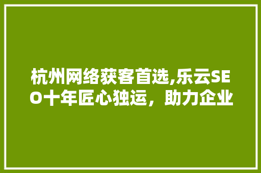 杭州网络获客首选,乐云SEO十年匠心独运，助力企业腾飞 网站建设公司
