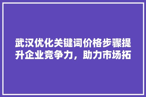 武汉优化关键词价格步骤提升企业竞争力，助力市场拓展 SEO关键词